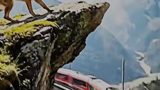 Angel dog saved Life