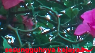 pearl of life 5