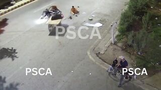 Punjab Safe Cities Authority 2