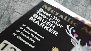 Metallic Acrylic Dual Colour Brush Markers ✨ | 2-in-1 Art Marker Magic | Creative Art Ideas 2