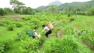 In today's video, we spend a quiet and productive day at the rural farm