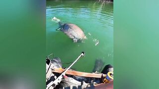Unbelievable Fishing Action! Giant Fish Caught in Crystal Clear Water 🎣🔥