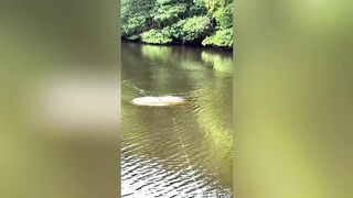 Massive Fish Jumps Out of the Water! 😱🎣 Incredible Fishing Moment