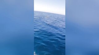 Underwater Fishing Adventure Over a Stunning Coral Reef 🎣🌊