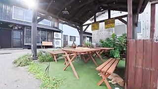 I went to the outdoor seating area of ​​a sushi restaurant on Cat Island, and being surrounded by cats was absolute heaven.