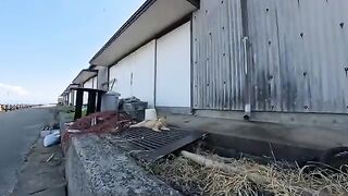 In the evening, I spotted a cat in front of a warehouse at the fishing port; when it saw my face, it woke up and came over to be petted.