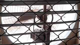 Poultry eggs,farm ventilation, umrah performance by my neice