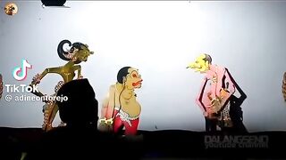Wayang 14