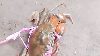 কাঁকড়া কাটা