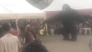 Dancing Gorilla - Unleashed!