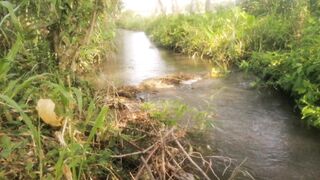 Tropical view of a small river