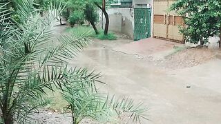 Rainy day 19