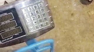 How the eggs are weighed