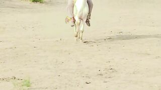 Mushtaq Malik official video viral plz 5