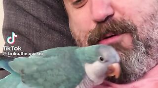 Beautiful Taking Parrot