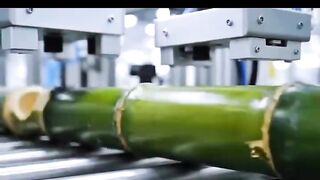 Turning Bamboo into millions