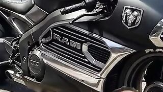 moto dog ram