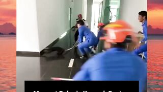 respet ama damkar der kompak banget nangkepnya