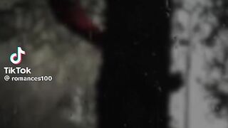 No todo el mundo escucha música clásica