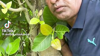 new video 54