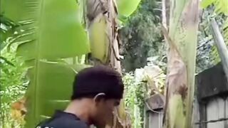 Rupanya ini dia boss nya yang nyuruh tebang pisang