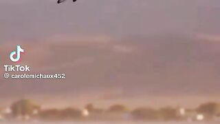 Flying Fish 2