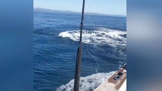 Giant Fish Explodes Out of the Water During an Epic Fishing Trip!