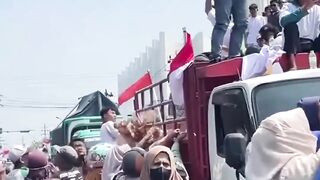 15.000 AYAM PETELUR DIBAGIKAN GRATIS, ADA APA DENGAN PETERNAK KENDAL? 🐔 2