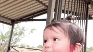 Kids love animals funny moments