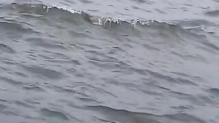 seawater at the beach