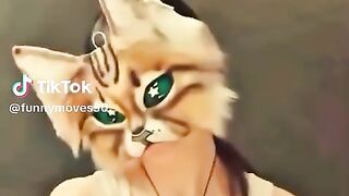 Gatita