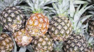 Nanas. pineapple