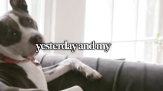 😂 The Funniest Dog Day Ever! 🐶