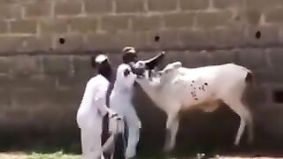 Bro dot try it
