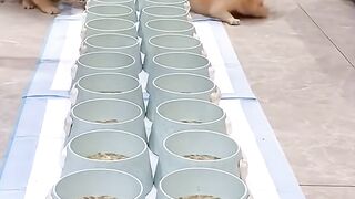 Want to eat