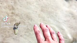 Beautiful Fishes 3
