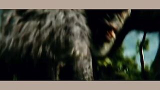 Big Animal Videos