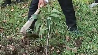 Menanam Pohon