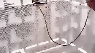 Net repair