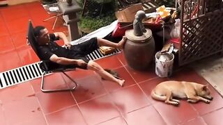 The dog so calm. Funny video, LOL