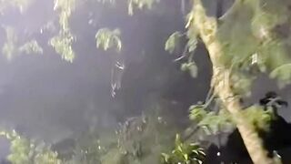 pegadinha e melhor pedir ou roubar, se escondeu no bueiro #pegadinha #viral #shots #reels