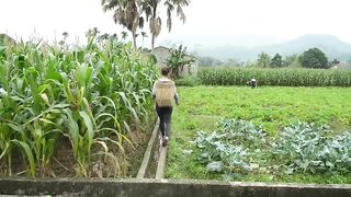 Potato Harvesting and Selling ( आलू काढणी व विकणे.)