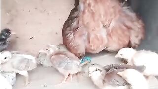 Hatched gray