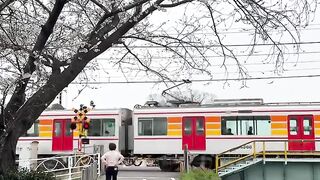 Japan vibes 2