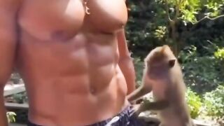 Smooth Recovery with monkey