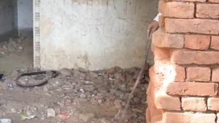 बंदर आज पकड़ लिया बादल को