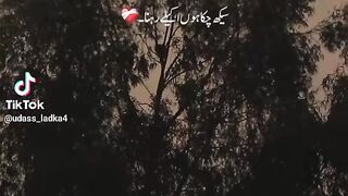 Sad shairi 17