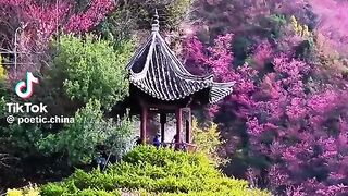 So Beautiful China
