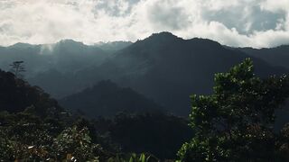 Simple life 5