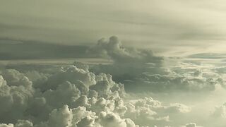 Flying high 2